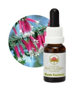 Bush Fuchsia, 15 ml